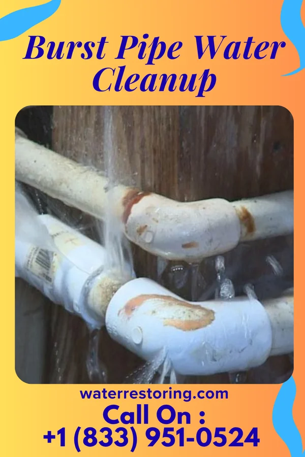Burst Pipe Water Cleanup in Gunter, TX