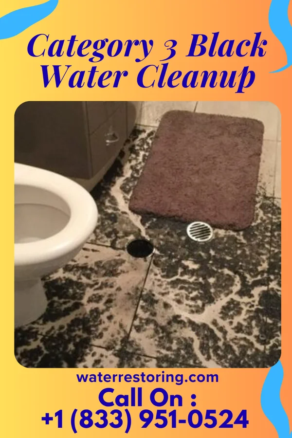 Category 3 Black Water Cleanup in Gunter, TX