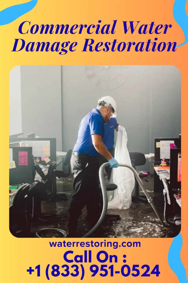Commercial Water Damage Restoration in Gunter, TX