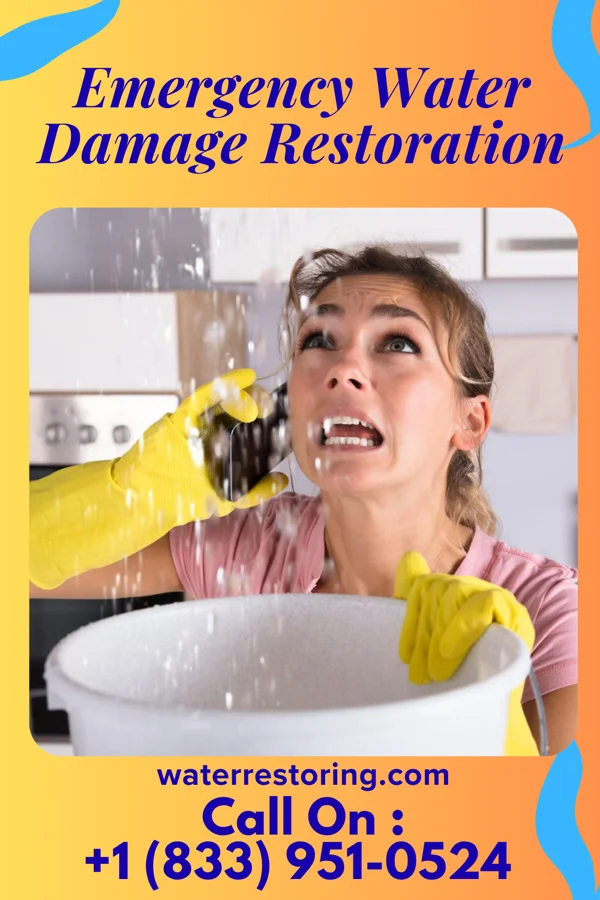 Emergency Water Damage Restoration in Gunter, TX