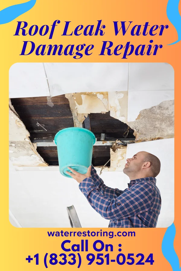 Roof Leak Water Damage Repair in Gunter, TX